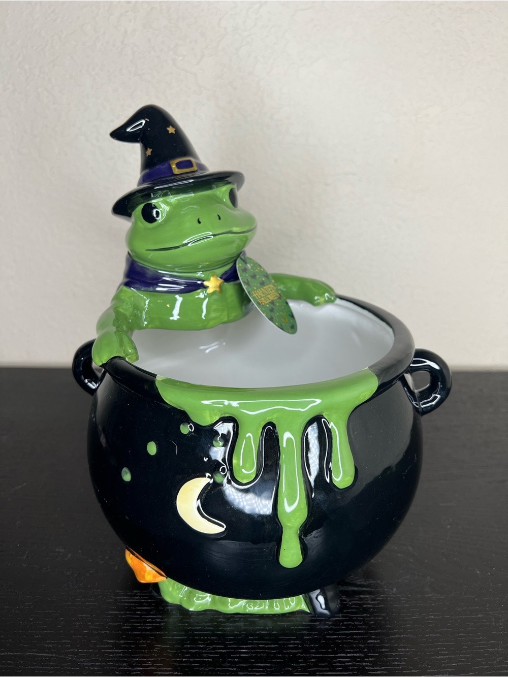 NEW 11” Haunted Halloween Wizard Frog Cauldron Candy Bowl